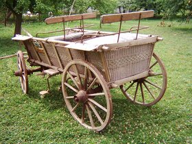 Prodám bryčku za Koně - 4