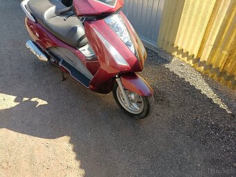 Honda Pantheon 125 - 4