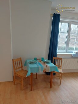 Pronájem bytu 1+1 42 m², Hlavní, Aš - 4