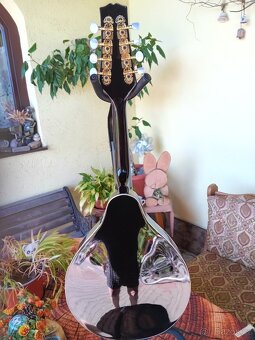 Elektroakustická mandolína - 4