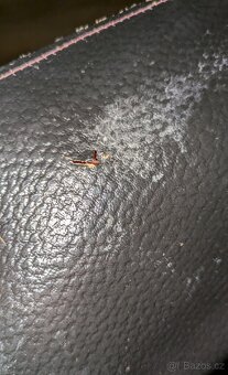 ★ Kožené rukavice | Kozak (Lehce opotřebený) - 4