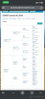 Klisna po Pezetas du Rouet - 4