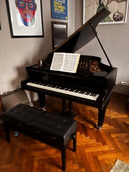 křídlo klavír Petrov grand piano - 4