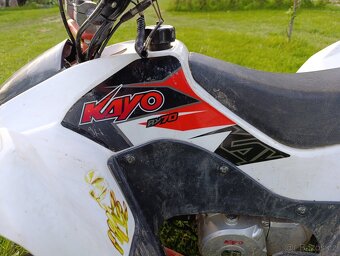 Kayo 70 - 4