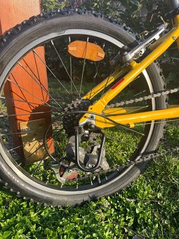 Superior Panda 20” - 4