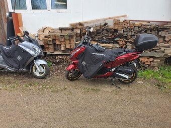 Honda PCX - 4