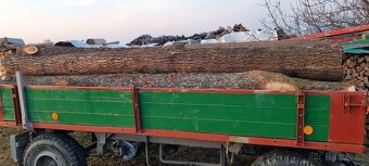 PRODÀM KVALITNÌ DUBOVOU KULATINU BEZ SUKŮ - 4