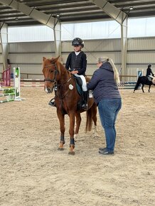 Pony do sportu 135cm. - 4