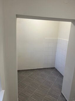 Pronájem výrobních skladových prostor - 4