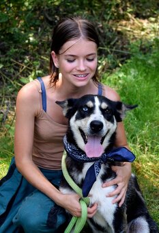 ARES K ADOPCI - přátelský mazel - 4
