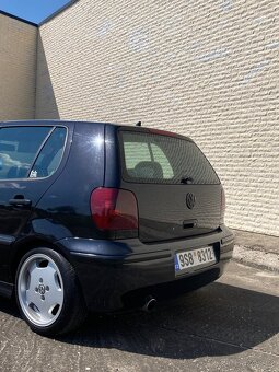 POLO 6n2 - 4