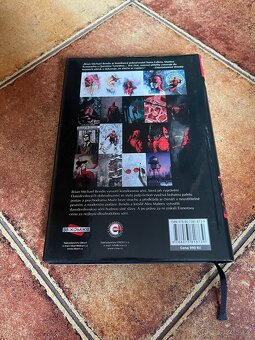 Daredevil Omnibus 1 - 4