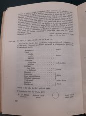 Život B. Němcové II.; M. Novotný - 4
