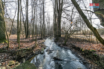 Prodej lesa, 685 m², Horšovský Týn - 4