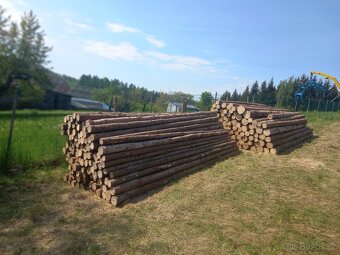 Dřevo kulatina smrk - 4