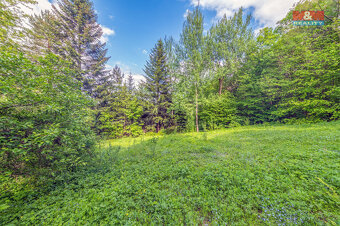 Prodej chaty, 45 m², Baška, ul. Hodoňovice - 4