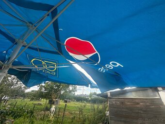 Slunečník hospodský - 4