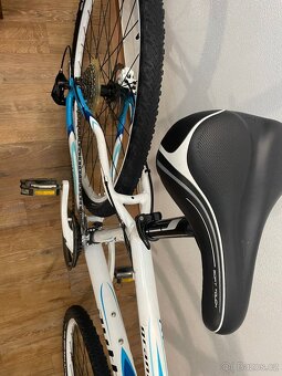 kolo Author 29, rám 17 (M) - 4