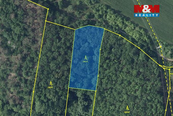 Prodej lesa, 7458m², Bílina - 4