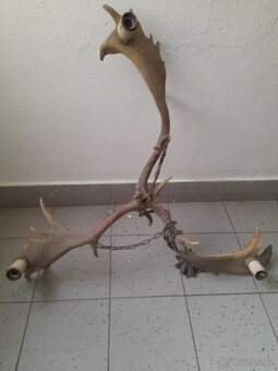 Prodám velký myslivecký lustr z dancich parohu - 4
