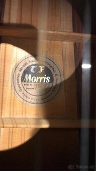 Devítistrunná kytara T F Morris - 4