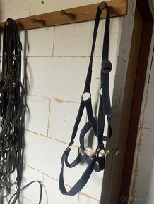 3x full ohlávky-modrá, zelená, černá - 4