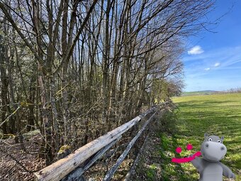 Prodej lesa 3 109 m2, Luhačovice, ev.č. 58602 - 4