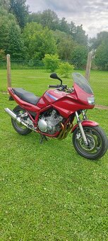 Yamaha XJ900 Diversion - 4