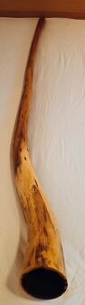 Australské didgeridoo - 4