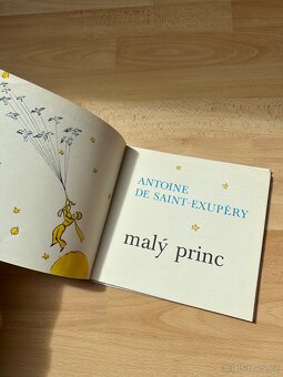 Malý princ - 4
