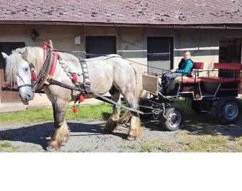 Vagoneta, kočár, vůz,bryčka - 4