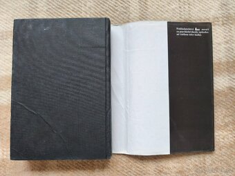 Kniha Stephen King: Osvícení - 4