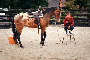Výcvik koní - 4