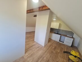 apartm.3+1 se zahradou Jeseniky -N.Ves - 4