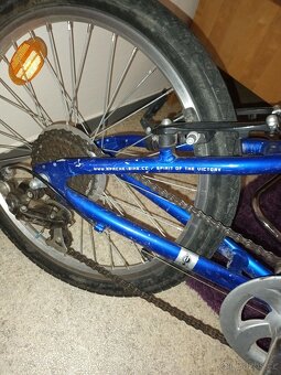 APACHE BEETLE 20 - 4