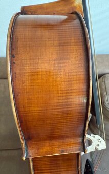 Krásné Violoncello - 4