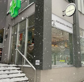 Tvorba webových stránek a e-shopů již do 3 dnů za super cenu - 4