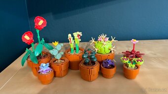 LEGO Botanicals 10329 Miniaturní rostliny - 4