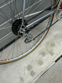 Olmo la Biciclissima - 4