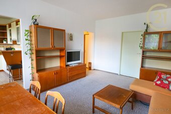 Pronájem bytu 2+1, 58 m² – Brno, ul. Tábor (Žabovřesky) - 4