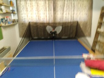 Robot na stolní tenis amicus expert - 4