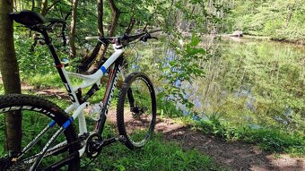 Cannondale Scalpel, XL, Lefty, Carbon - 4