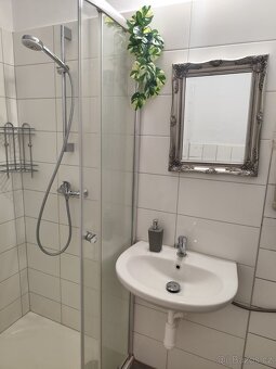 Pronájem bytu 3+1 v Merklíně u Přeštic - 4
