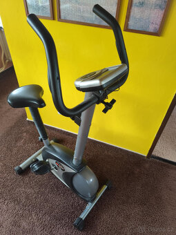 Rotoped excercise bike DM 2830 - 4