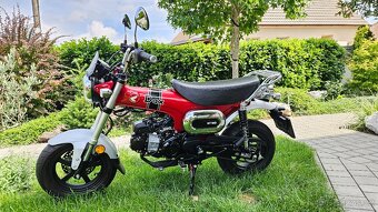 Honda DAX 125 2024 - 4