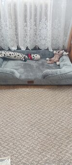 Ortopedický pelíšek Bedsure pro psa, vel.L - 4