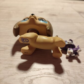 LPS littlest petshop Jumbo jezevčík - 4