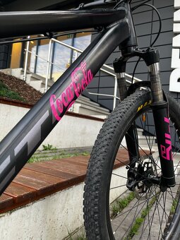 CTM DIRTKING 2020 - 4