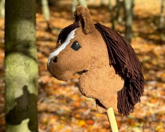 Hobby horse- rezervace - 4