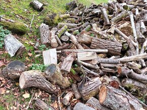 palivové dřevo z listnatých stromů - 4